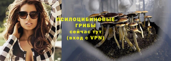 тгк Богданович
