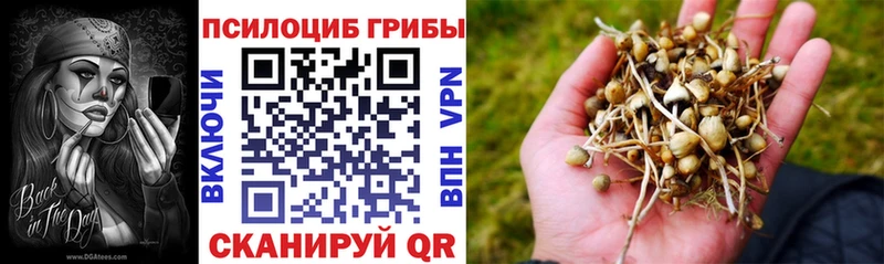 Псилоцибиновые грибы Cubensis Туапсе